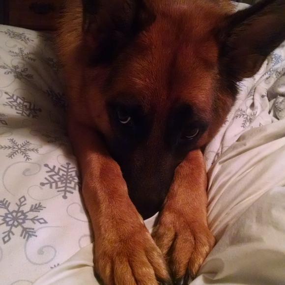 Meet your Posher, Wendy - Picture 8 of 9